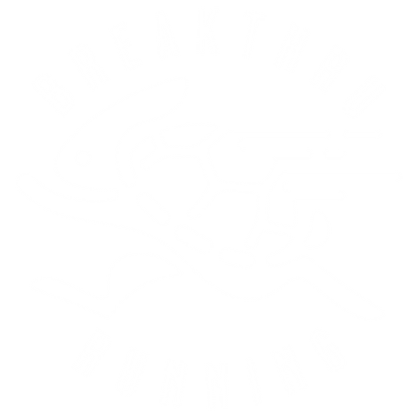 BREAKTHRU RUNNING